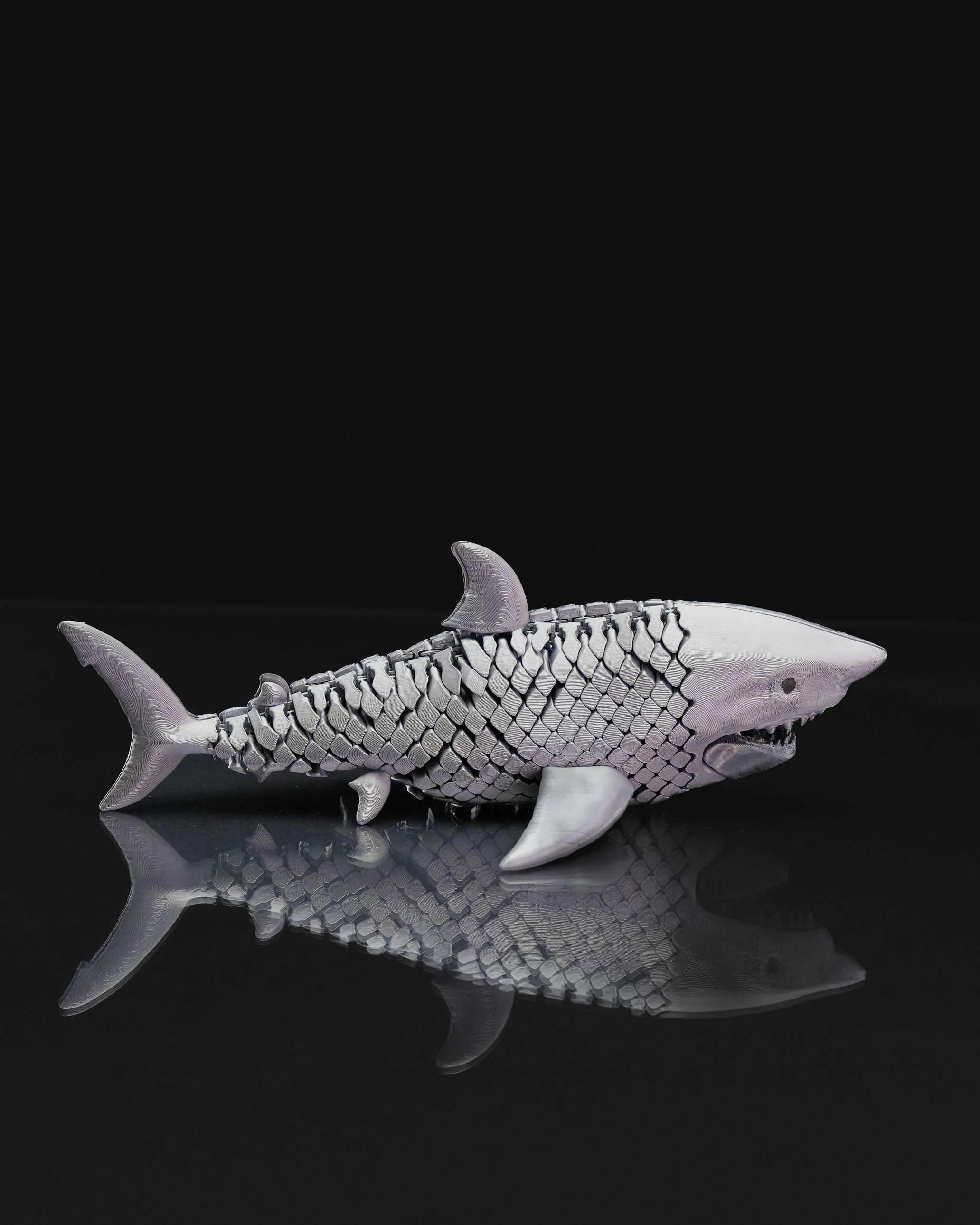 Great White Shark 1