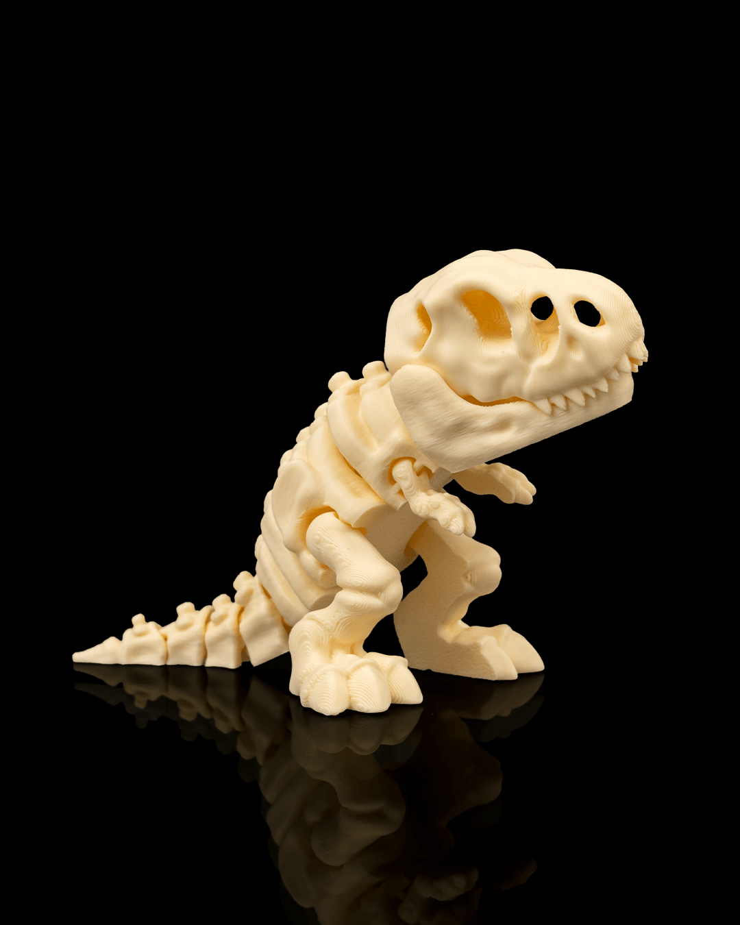 Skeleton T Rex